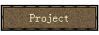 Project