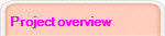 Project overview